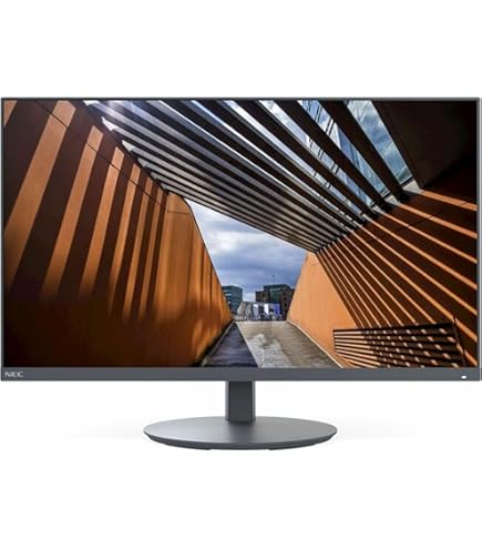 【新品】【未使用】NEC LCD-E221N-BK E221N-BK, 22